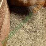 Pelet Pakan Ayam 202 Tawau Malaysia - Kualitas Impor Bernutrisi | Pasar Sebatik