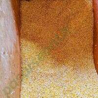 Jagung Halus Pakan Anak Ayam - Gilingan Lembut & Bernutrisi | Pasar Sebatik